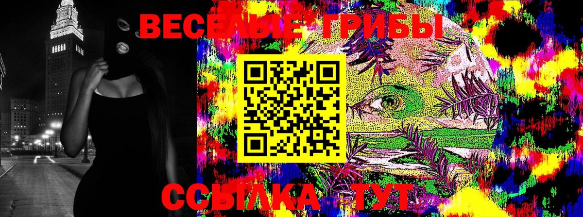 Галлюциногенные грибы Cubensis  Вход с VPN  Сафоново  Галлюциногенные грибы Psilocybine cubensis 